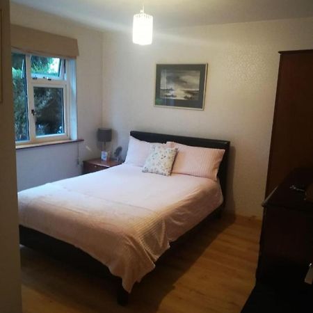 Cosy Apartment Holywood  Exterior foto